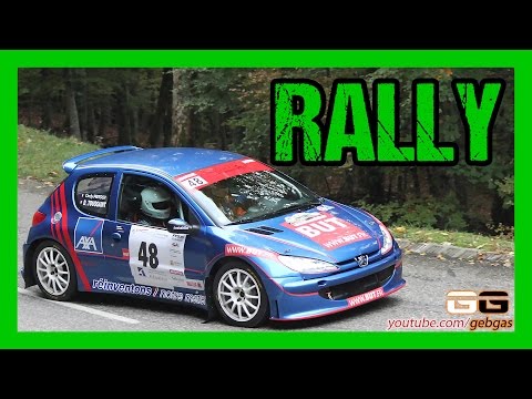Peugeot 206 Maxi - Didier TOUSSAINT - RALLY - 2016 - Centre Alsace + Cindy FRITSCH