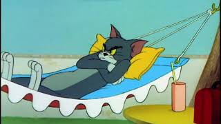 Tom và Jerry - Giấc ngủ trưa của con mèo(Cat Napping, Viet sub)