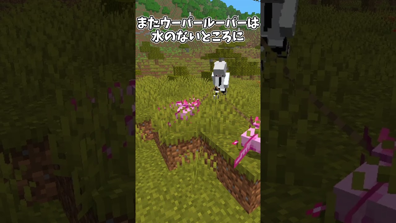 雨の日の過ごし方【マイクラ豆知識 解説 裏技】