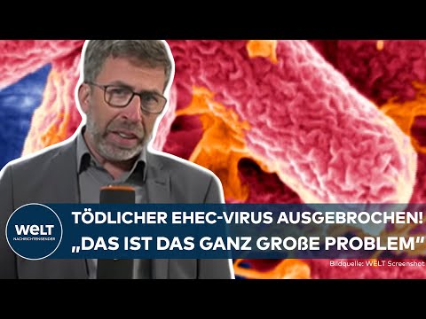 MECKLENBURG-VORPOMMERN: EHEC-Ausbruch! Fieberhafte Suche nach dem Ursprung der Krankheit