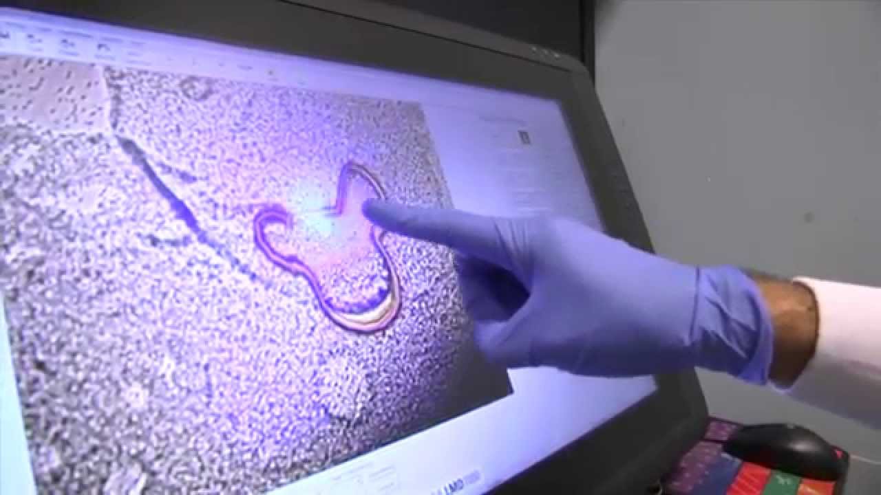 Tour Seattle Children's Research Institute