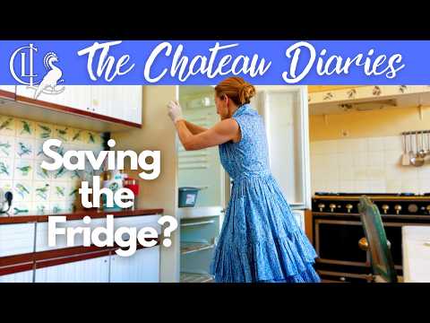 A Grand Salon, a Vintage Fridge, and a Lot of Elbow Grease! 💪🏻