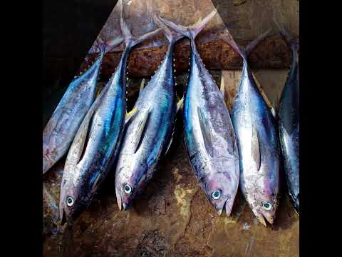 | IKENNA IKE | MOST COMMON FOOD ALLERGIES: THERE'S ALWAYS MORE! (PART 3) (@IKENNAIKE)