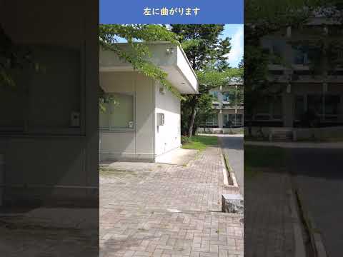 正門から西校舎（Ｗ）まで #shorts