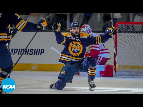 All 28 goals from 2024 NCAA men's hockey regional finals