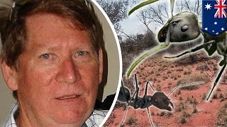 Desert survival: By eating ants, Australian camel hunter survives six days in the desert - TomoNews
