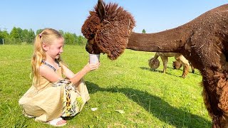 Download lagu Nastya studies who alpacas are and takes care of animals mp3