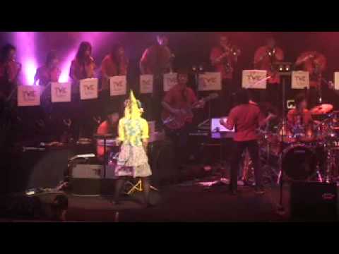 Chameleon カメレオン