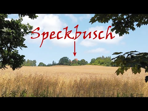 Mythos Speckbusch in Göhren (Bodendenkmal) - 4K