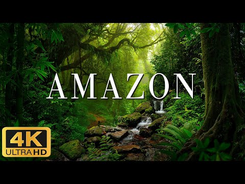 AMAZON 4K Ultra HD (60fps) - Scenic Relaxation Film with Cinematic Music - 4K Relaxation Film