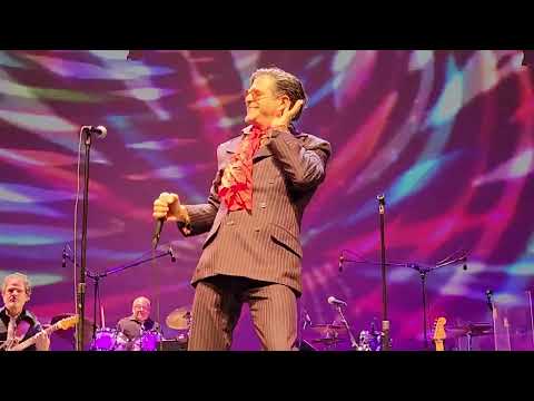 All Day Sucker - 96 Tears [Live 2023]