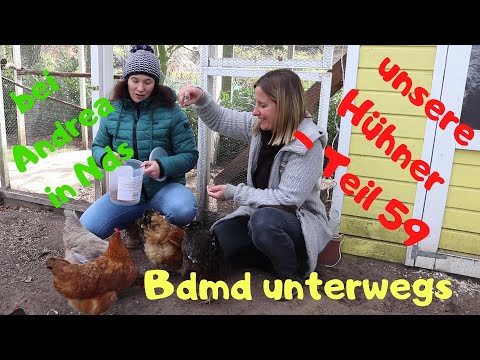 unsere Hühner Teil 59: unterwegs bei Andrea in Nds - wie hält sie ihre Hühner?