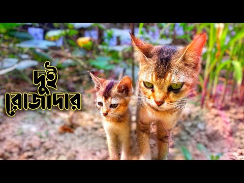 দুই রোজাদার 😁🥰 (mdabdulazimofficial)