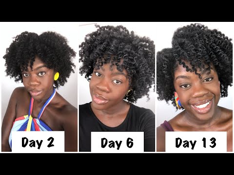 How to Maintain Twist Outs Overnight on 4C Hair for Two Weeks Video