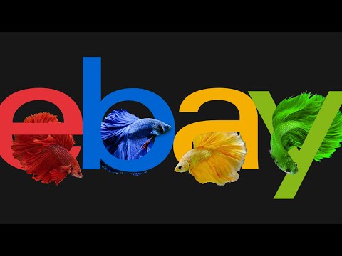 eBay fish Buying Tips: Avoid These Mistakes