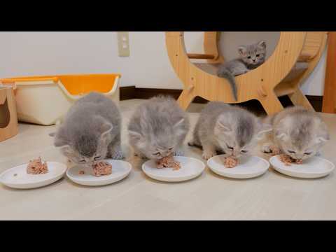 YouTube 썸네일