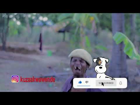 Mapengo kuzaa kwa wende