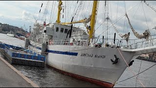 Набережная Невы  (Санкт-Петербург)
