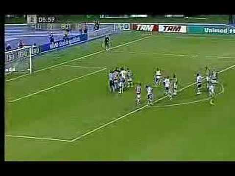 FLU ROUBADO - BRASILEIRÃO 2007
