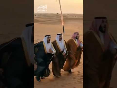 الحماية الامريكية