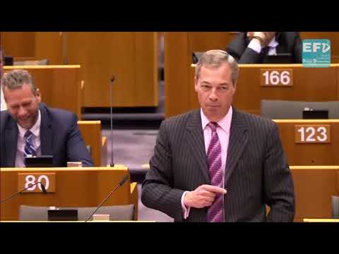 Brexit is the first brick out of the wall - Nigel Farage MEP