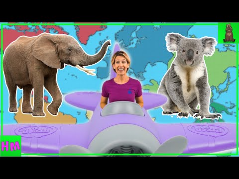 Discovering Animals from around the world