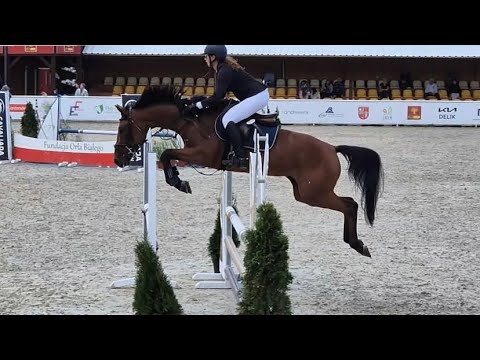 Lyra Belaqua M.Z ~2020~ZR Olsza~L1 - 18.08.24