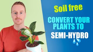 Converting plant to LECA Semi-Hydro | How to convert plant to soil free | No more fly gnats