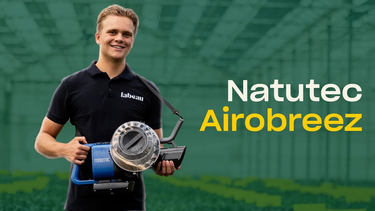 Video preview poster