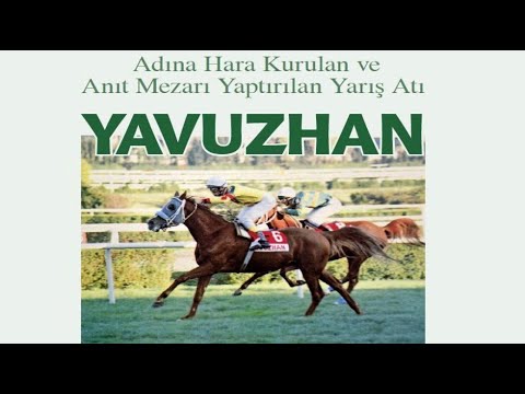 YAVUZHAN ve RAKİPLERİ