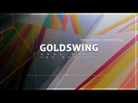 Vanger & Delim - Shaking All Day