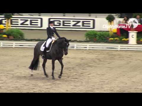 Mittwoch, 13.11.2013 Preis der Firma iWest, Nat. Dressurprüfung Kl. S**