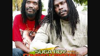 Suga Roy & Conrad Crystal Dubplate (Portaldoreggae Sound)