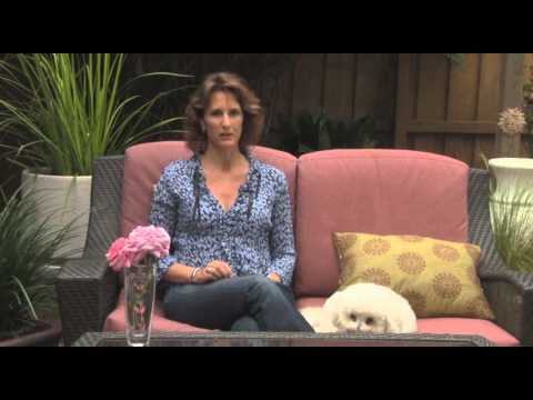 Chocolate Shaman Cacao Ceremonies