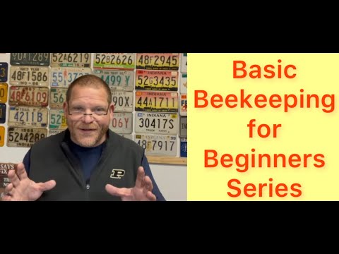 Basic Beekeeping for Beginners Series - Introduction
