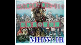 【MHWI】ヒーラー部族長の冒険譚！今宵はカスタム武器強化素材集め