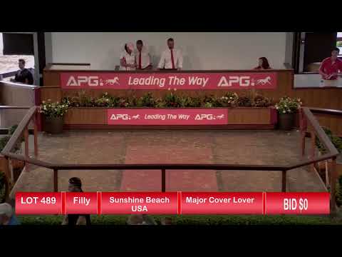 2021 Yearling Sales - Perth