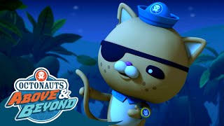 Download lagu Octonauts Above Beyond Kwazii Distracts a Group of... mp3