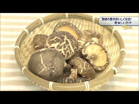 2023年7月1日(土)放送 「宮崎の夏がおいしくなる！乾★しいたけ」