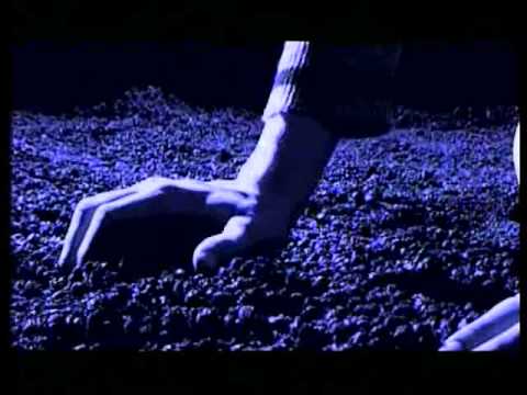 Ég sé þig video.Björgvin Halldórsson