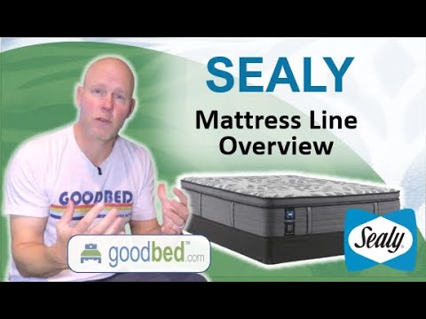 Sealy Mattress Options (2021-2025) EXPLAINED by GoodBed.com