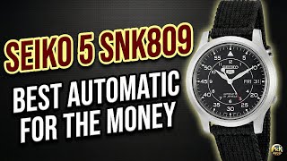 The King of Budget Watches? SEIKO 5 SNK809 Review & Why It's The Best Starter Automatic