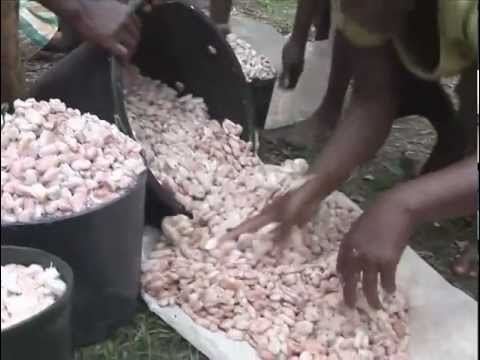 Sao Tome: Sweet Success