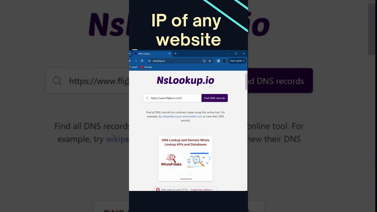 How to Find IP Address of any Website ? #webdevelopment #web #aitools