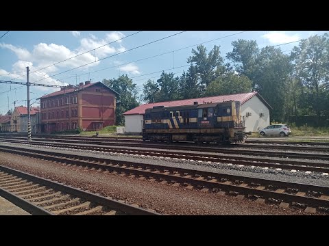 Petrovice u Karviné dne 24.8.2020