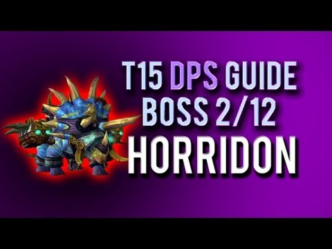 "Horridon" DPS Guide → Boss 2/12 in Throne of Thunder
