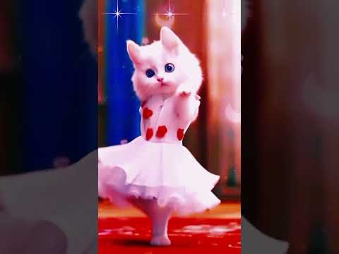 Cat 😺 #dance #viral video