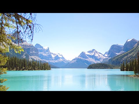 Best Of ALPHA 9 & ARTY Mix 2 - Trance