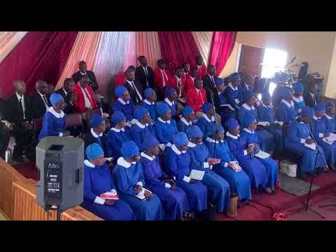 AFMA Solo - Zviudze Jesu