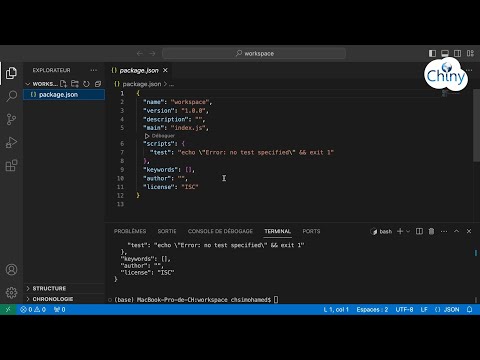 Short video Programmation Orientée Objet POO